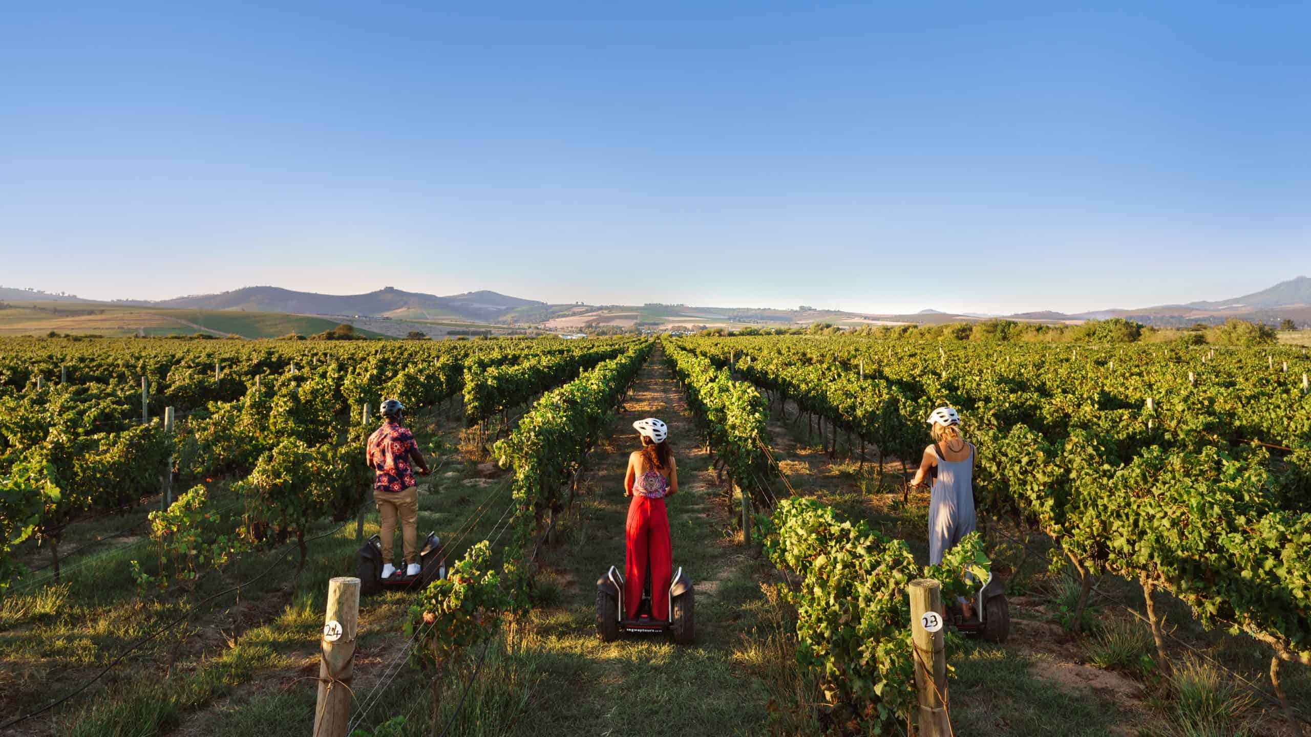 Segway Vineyard Tour content with image