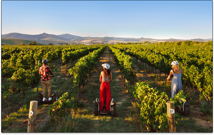 Segway Vineyard Tour content with image