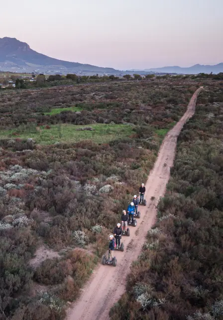 Sunset Segway vineyard tour4