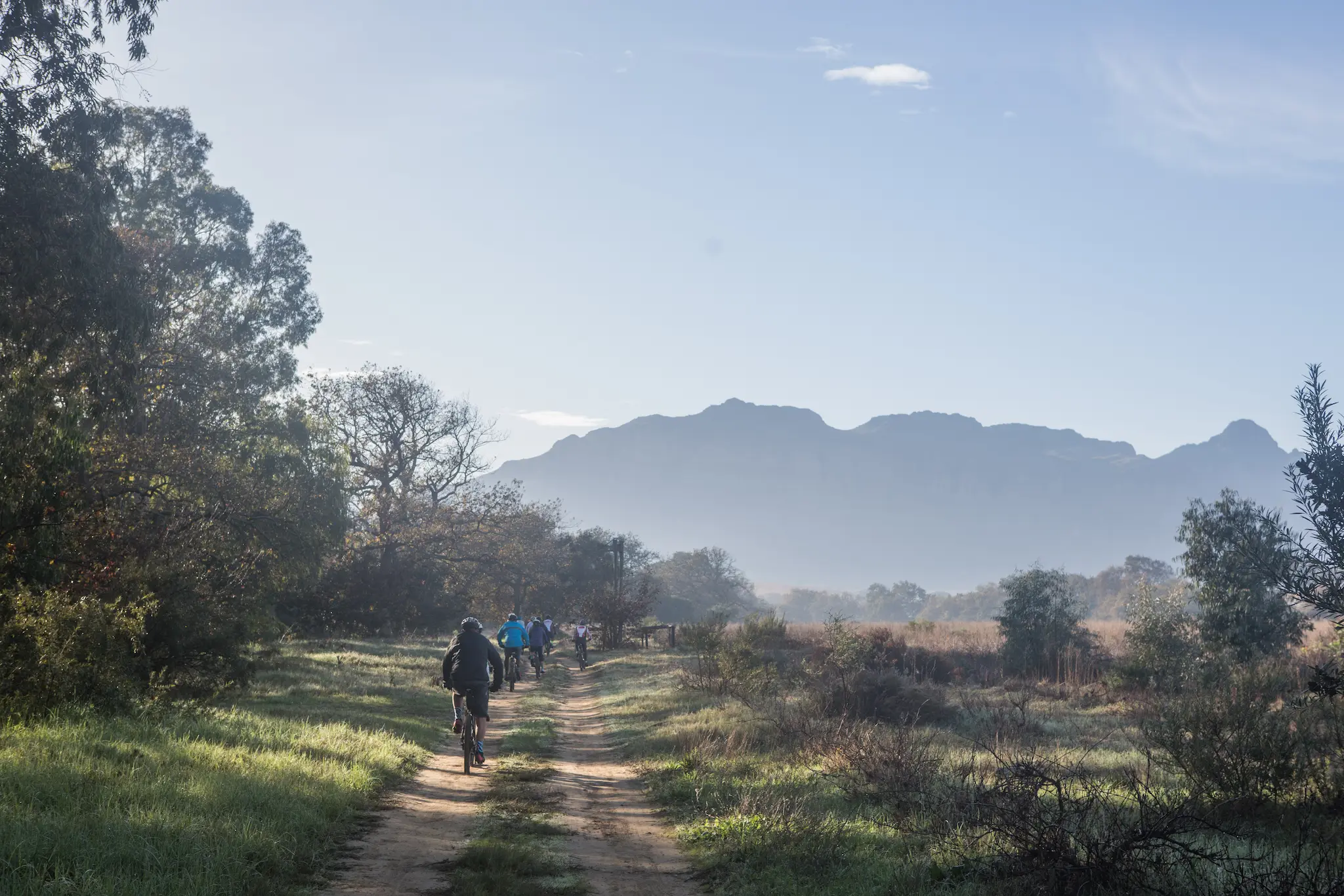 mountain-bike-trail