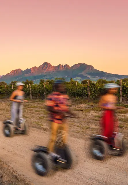 sunset-segway-vineyard-tour2