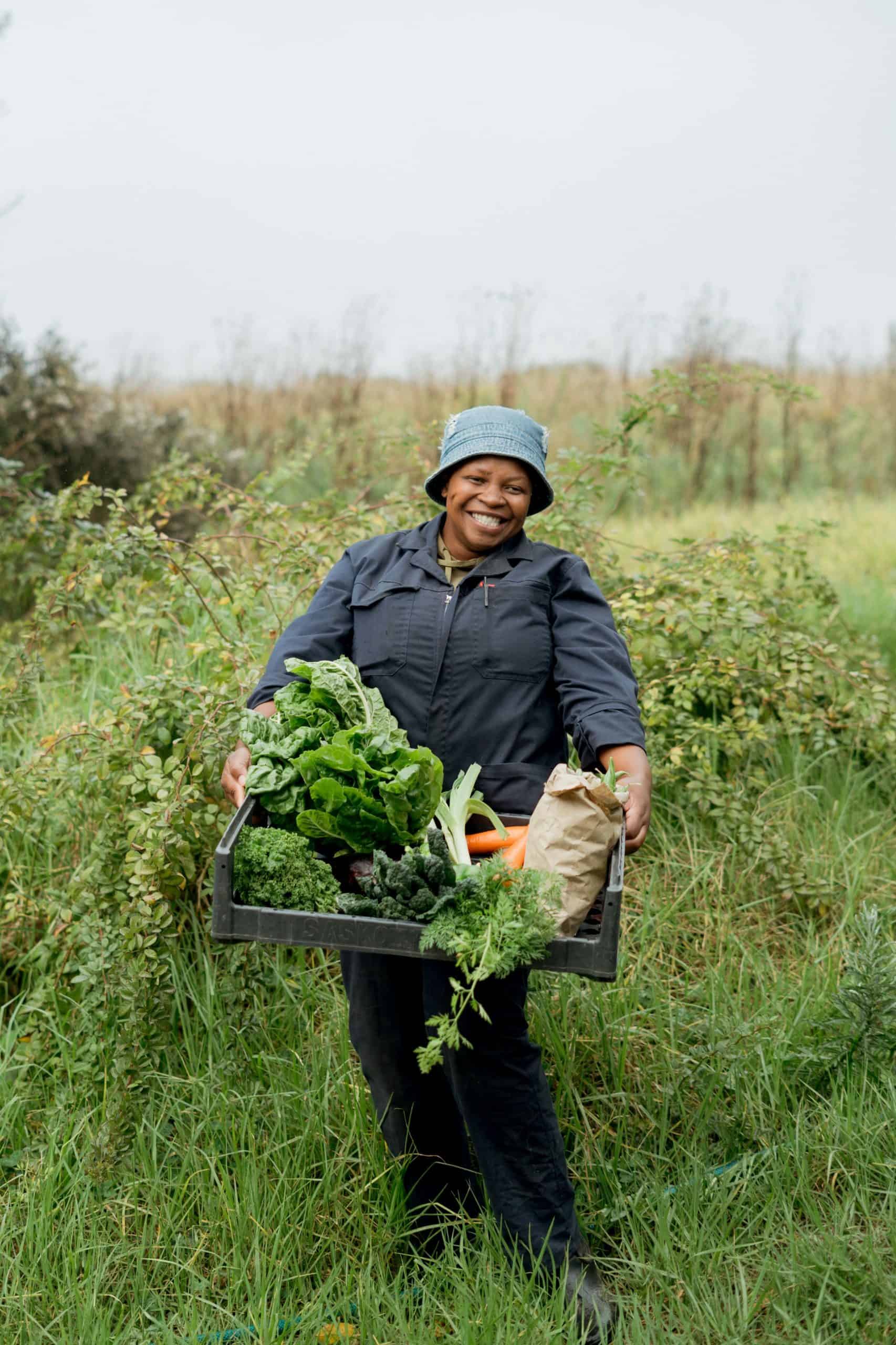 Living Soils Food Drop 20245 (1) (1)